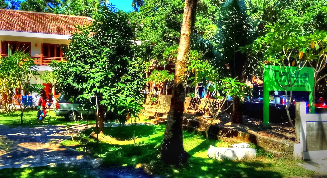 Hotel Garden & Grounds